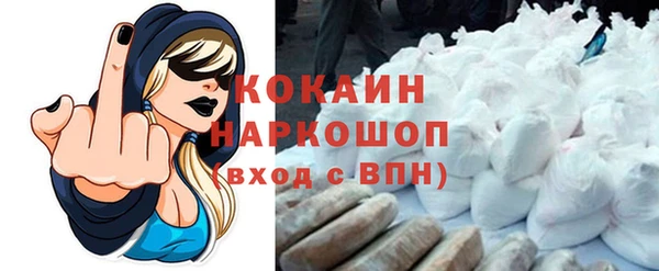 гидропоника Богданович