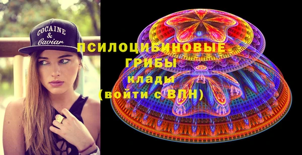 гидропоника Богданович