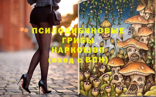 гидропоника Богданович