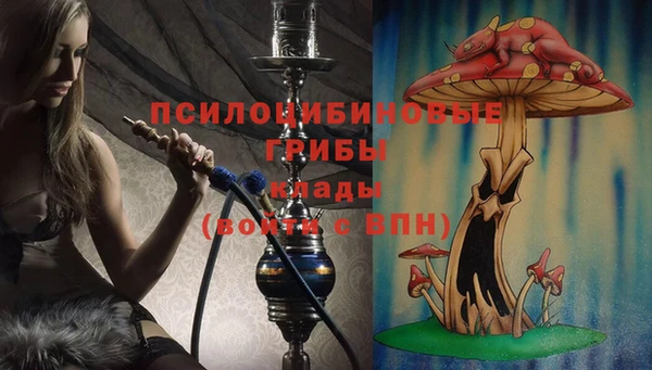гидропоника Богданович