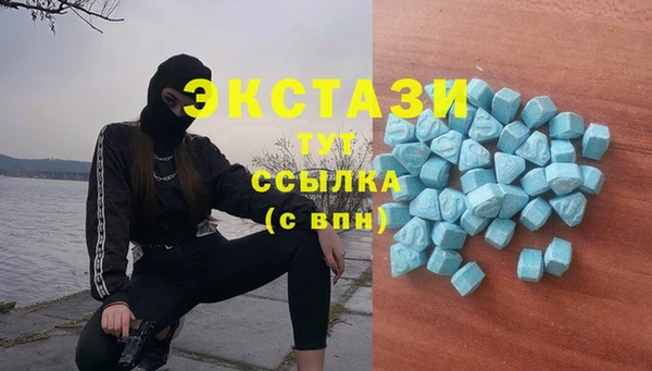 гидропоника Богданович