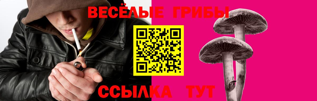 Псилоцибиновые грибы MAGIC MUSHROOMS Сланцы