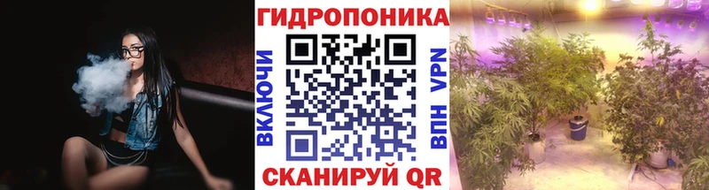 МАРИХУАНА семена  Сланцы 